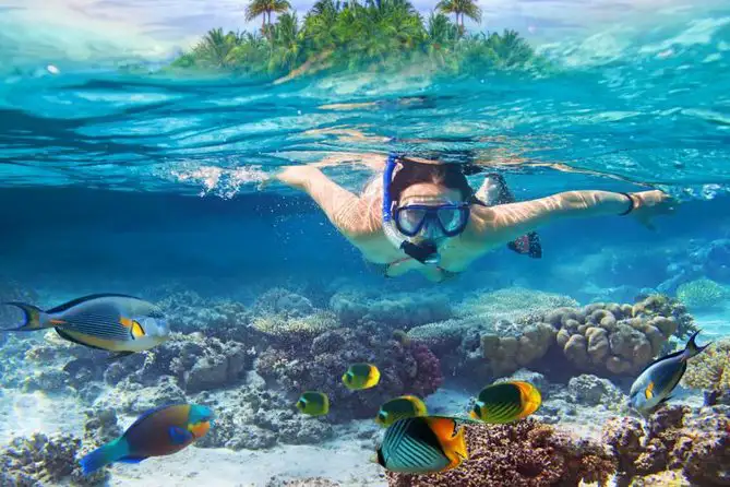 Snorkeling a fascinating activity to practice in Corn Island.