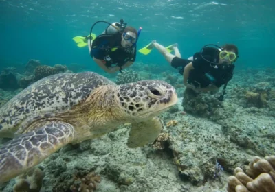 activities-scubadiving-water-sport